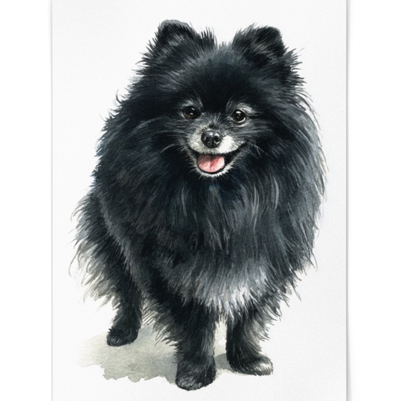 Watercolor Black Pomeranian Dog Portrait Art Print – Unframed Fine Art Poster - Picture 2 of 5